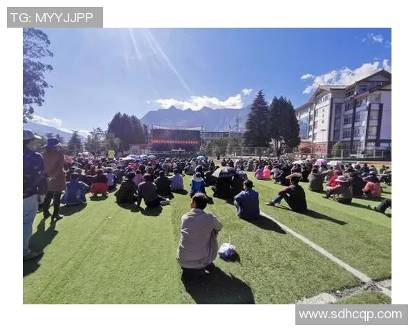 竞技体育精神引领人生拼搏与成长之路展现无畏奋斗与团队协作的力量