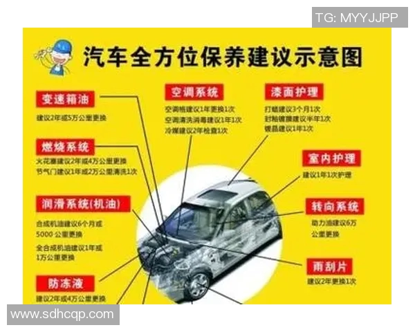 汽车保养全攻略：如何延长爱车使用寿命并提升驾驶体验